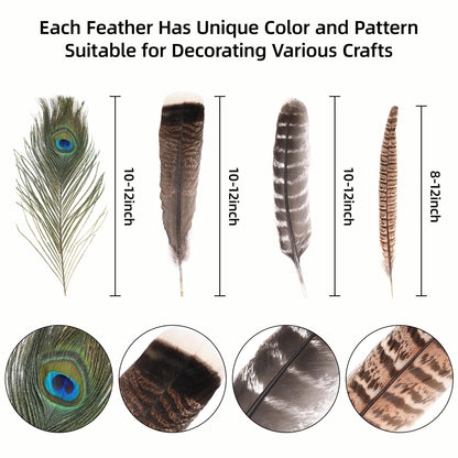 Ballinger 8-12inch 4 Styles 24Pcs Assorted Pheasant Feathers and 12Pcs 24-26inch Black Ostrich Feaathers for Crafting Vase Hat Wedding Autumn Party Decor
