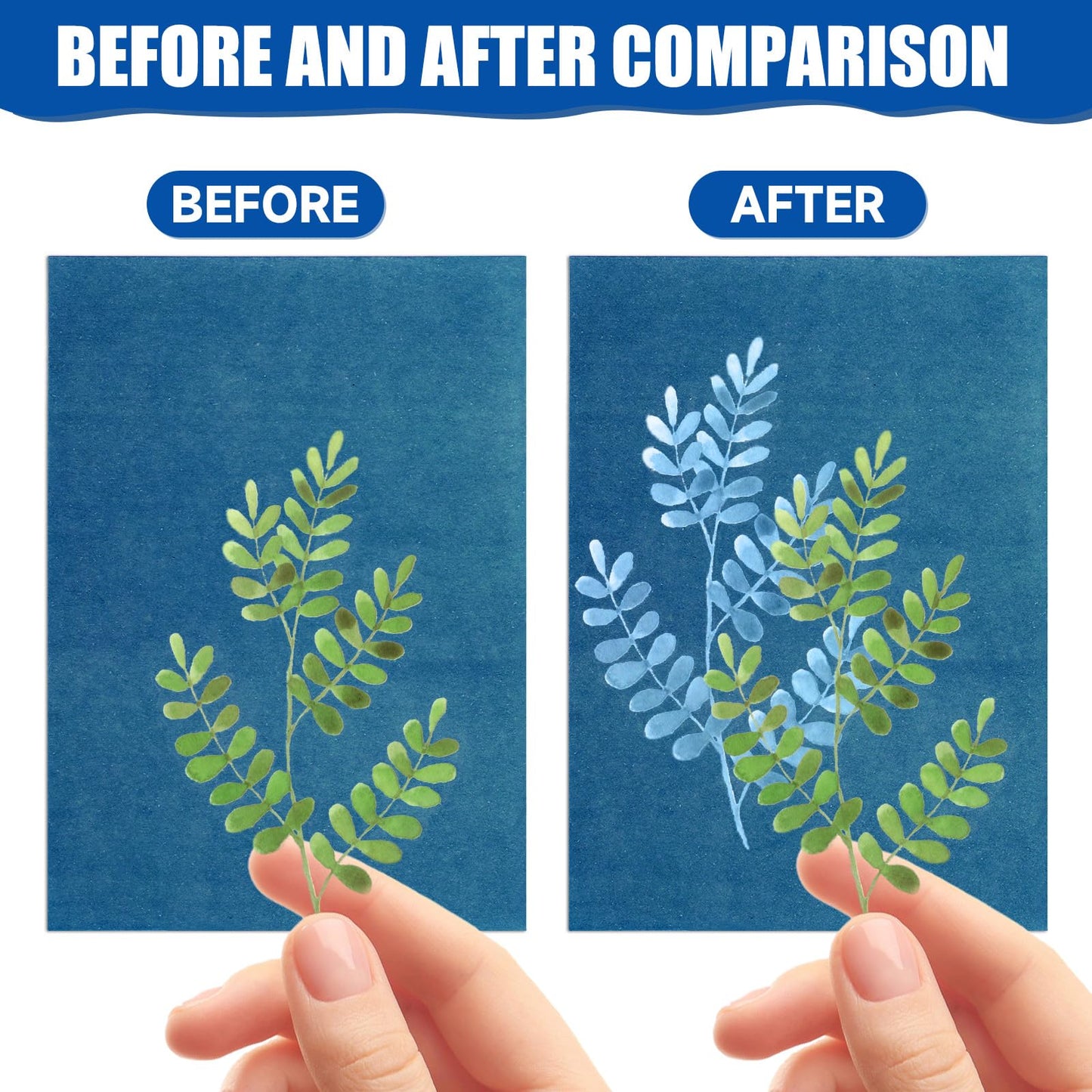 NOVWANG 80 Sheets Cyanotype Sun Print Paper, 5.8 x 8.3 Inch High Sensitivity Cyanotype Kit Sun Paper DIY Arts with 1 Sheet Acrylic Panel for Art Crafts Project