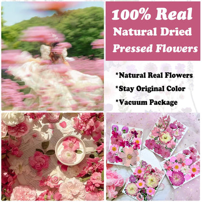 LUCISKY 132Pcs Pink Pressed Dried Flowers and Butterfly for Resin Molds, Real Natural Bulk Dry Floral Leaves Stickers for DIY Art Crafts, Jewelry, Candle, Soap Crafts Making