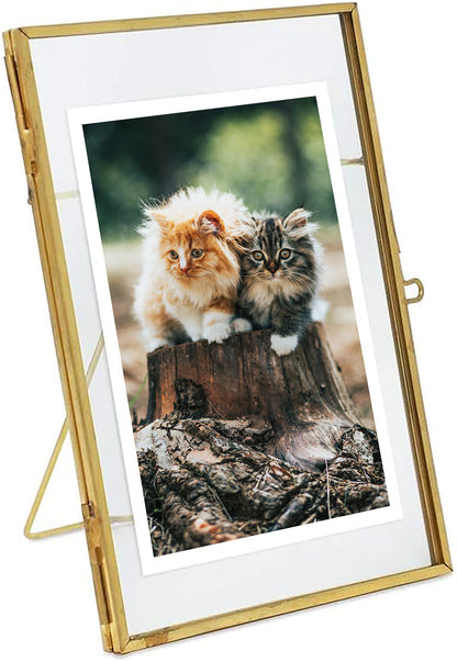 WONTHAI Gold Picture Frame - 4x6 Antique Brass Postcard Picture Frame for Desk - Small Pressed Glass Frame for Pressed Flowers - Floating Vertical (4 * 6 vertical)…