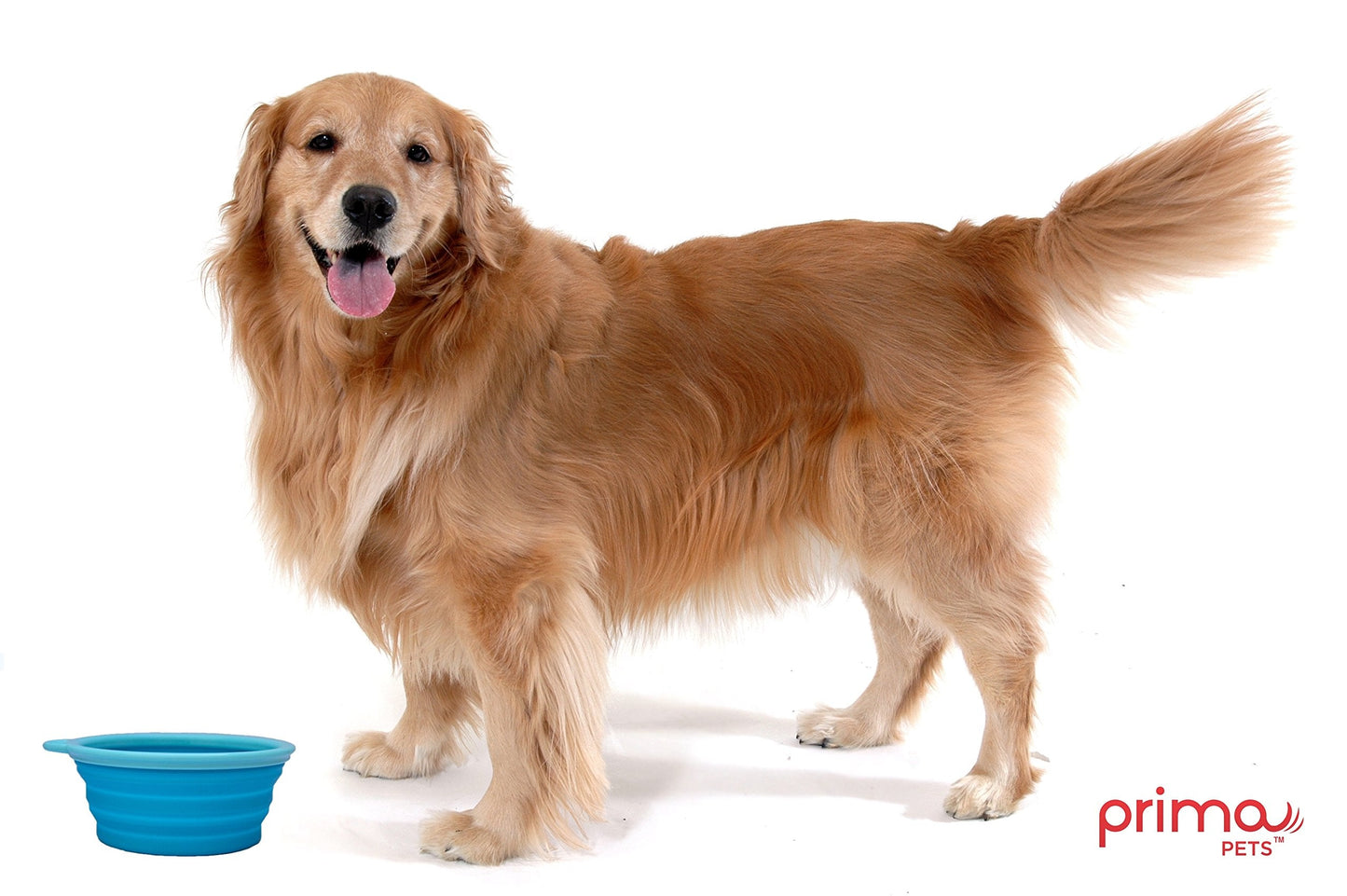 Sale Collapsible Silicone Water Travel Bowl with Clip for Dog and Cat, Portable and Durable Pop-up Feeder for Convenient On-The-go Feeding Size: Large (5 Cups) Grey