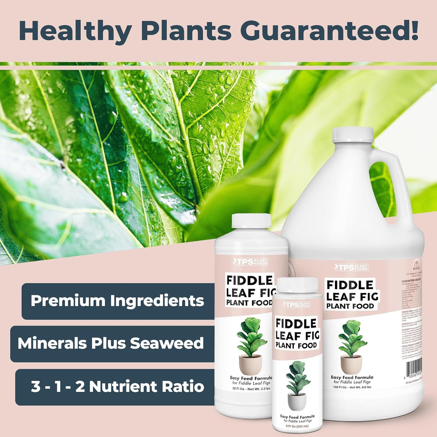 Skiennix Fiddle Leaf Fig Plant Food - Liquid Formula for Bigger Leaves & Stronger Roots | 8 oz