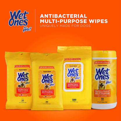 Wet Ones for Pets Multi-Purpose Dog Wipes With Aloe Vera | Dog Wipes For All Dogs in Tropical Splash, Wet Ones Wipes for Paws & All Purpose | 50 Ct Cannister Dog Wipes