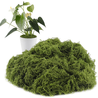 Yomirduy Artificial Moss for Crafts, 10.6OZ Fake Green Moss for Potted Plants, DIY Decorative, Walls,Table Centerpieces Decor Fairy Garden Model Making (300g)