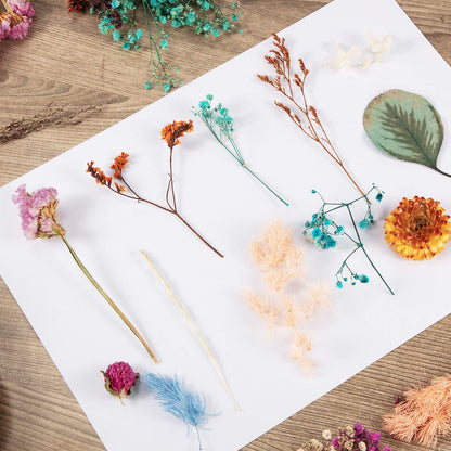Nuanchu 200 Pcs Natural Dried Pressed Flowers and Leaves Resin Real Dried Flower Leaves Mixed with Tweezers for DIY Jewelry Candle Soap Vase Making Nail Card Scrapbook Art Craft Floral Decors