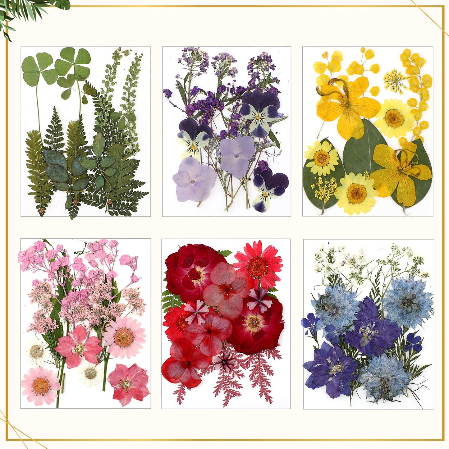 Bucherry 5 Pcs Glass Frame for DIY Pressed Flowers Art Hanging Photo Picture Frame with Chain and 6 Styles Pressed Flowers Collage Glass Craft Frames for Wall Decor Display Gallery (Silver)