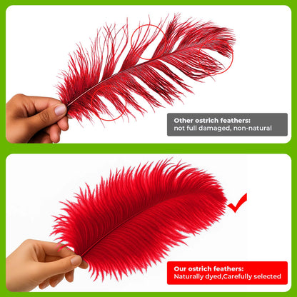 Piokio 20pcs Natural Red Ostrich Feathers 10-12 inch (25-30cm) Bulk Feathers for Wedding Party Centerpieces, Home Decoration and DIY Clothing, Gatsby Decorations