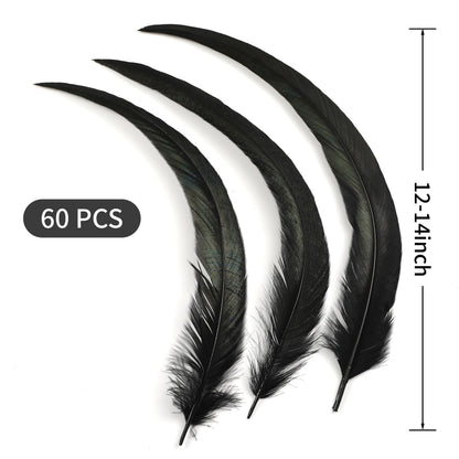 Holmgren 180pcs 12-14inch Rooster Tail Feathers - Natural Long Rooster Tail Feathers Bulk for DIY Crafts Hats Costume, Holiday Themed Party Decoration