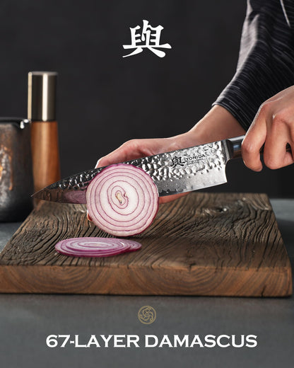 Japanese Chef Knife, 67-Layer Damascus Steel 8 Inch Kitchen Knife with AUS-10 Core, Professional Hand Forged Gyuto Knife with Gift Box, Ergonomic Handle, Ideal Valentine's Day Gifts for Men Women