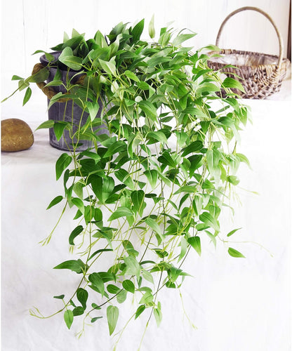 FiveSeasonStuff 28ft 10-Vine Set, Elegant Artificial Silk Clematis Leaves, Versatile Decor for Any Occasion