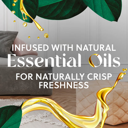 Air Wick Scented Oils 0+5 Fresh Waters