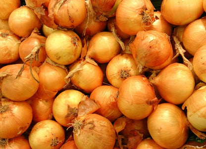 1015Y 400+ Count 1000+ 2026 TomorrowSeeds - Texas SuperSweet Onion Seeds - & Burgundy Red Onion - for Planting Official