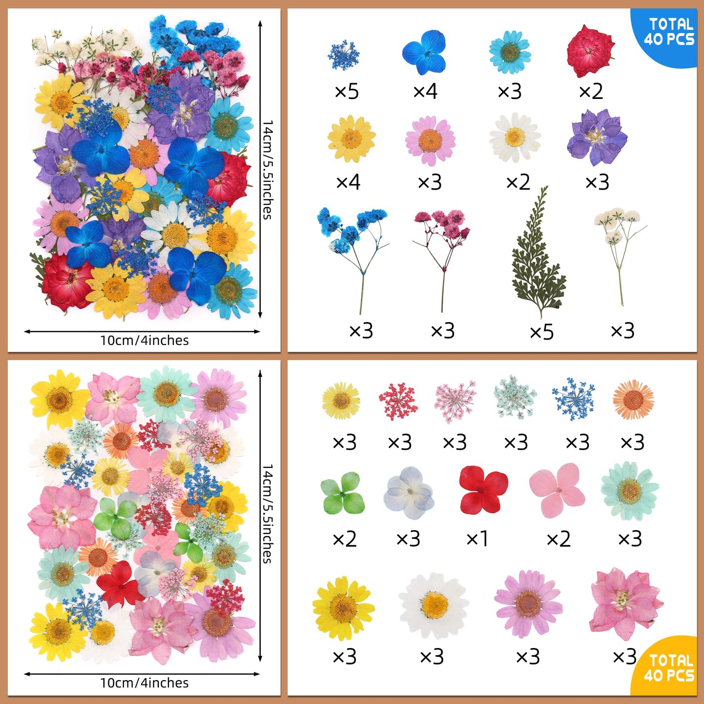 Tessera 160+ Pcs Real Pressed Flowers for Resin & Crafts - 4 Themed Dried Flower Sheets with 4-Piece DIY Tool Kit - for Resin Jewelry Making, Scrapbooking Supplies, Nail Art, Candle & DIY Gifts