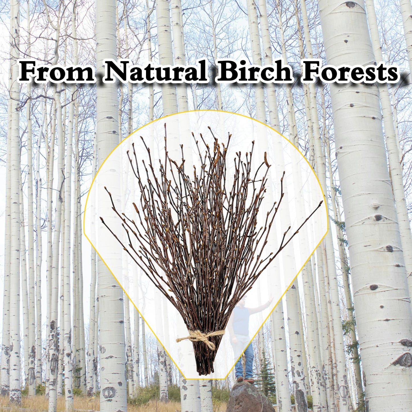 17 Inch Natural Birch Branches Dried Birch Twigs Wreath Making Supplies Dried Plants for Rustic Home Decor Easter Stems Vase Filler DIY Crafts Vases Tall Wreath Christmas Decoration Wedding (30Pcs)