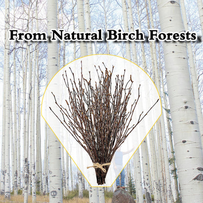 17 Inch Natural Birch Branches Dried Birch Twigs Wreath Making Supplies Dried Plants for Rustic Home Decor Easter Stems Vase Filler DIY Crafts Vases Tall Wreath Christmas Decoration Wedding (30Pcs)