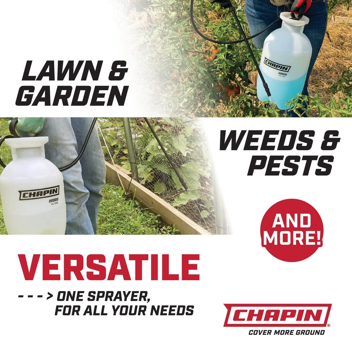 Chapin 20004 Made in USA 1 -Gallon Lawn and Garden Pump Pressured Sprayer, for Spraying Plants, Garden Watering, Weeds and Pests
