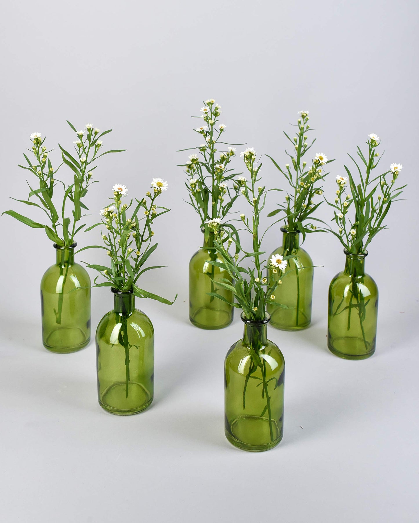 Serene Spaces Living Bud Vases, Apothecary Jars, Decorative Glass Bottles, Centerpiece for Wedding Reception, Mini Flower Vases, Small Medicine Bottles for Home Decor (Dark Green, Set of 6)