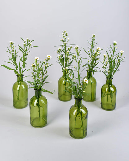 Serene Spaces Living Bud Vases, Apothecary Jars, Decorative Glass Bottles, Centerpiece for Wedding Reception, Mini Flower Vases, Small Medicine Bottles for Home Decor (Dark Green, Set of 6)