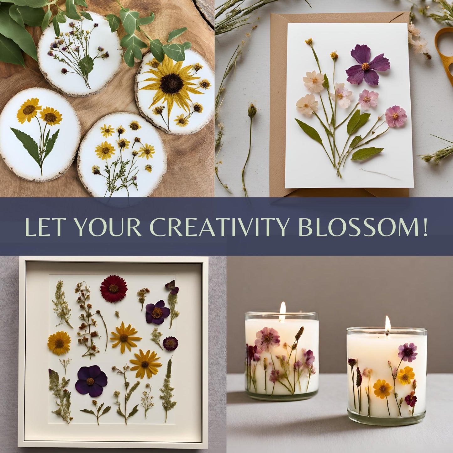 Flower Press Kit | Durable Hardwood 8x10in - Flower Preserving Kit Up to 8 layers - Floral Preservation kits for adults and kids | Innovative and Giftable Floral Pressing kit for Craft Enthusiasts