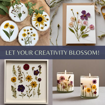 Flower Press Kit | Durable Hardwood 8x10in - Flower Preserving Kit Up to 8 layers - Floral Preservation kits for adults and kids | Innovative and Giftable Floral Pressing kit for Craft Enthusiasts