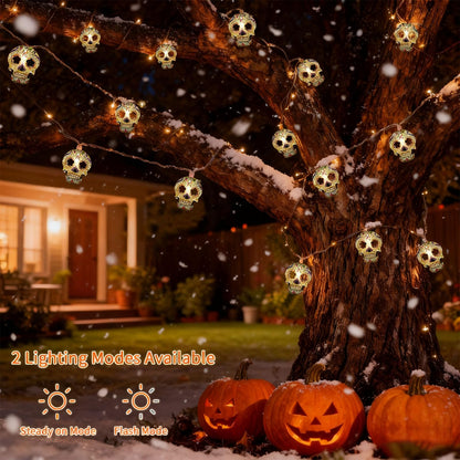 Skull String Lights, 15FT Halloween Lights 30 LED Skull Lights Warm White Halloween & Day of the Dead String Lights with Battery & USB Powered 2 Lighting Modes IP42 Waterproof for Indoor Outdoor Decor