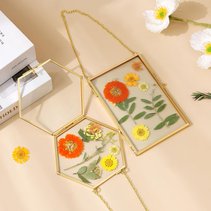 IcosaMro 3 Pack Double Glass Frame for Pressed Flowers 4"x 6" Adult Craft Kits with Brass Glass Frames & 4 Sheets Pressed Flower, Window Hanging Wall Decor Frame for Dried Flowers Leaves Plants