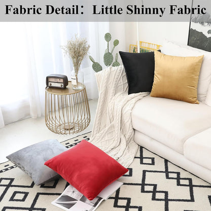 12x20 12 20 Inch (30x50cm), Home Brilliant Pillow Cover Accent Velvet Throw Pillows Rectangle Pillow Cover for Lumbar