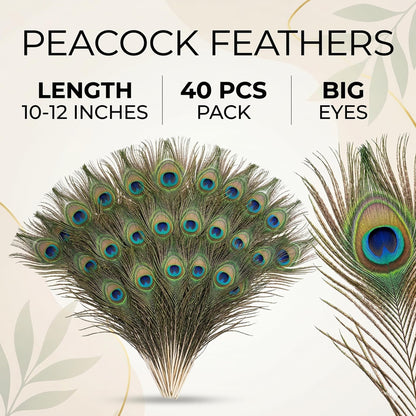 Lamar Big Eyes 40 Pcs 10-12 Inch Peacock Feathers Bulk Feathers for Vases, Home Decor, Wedding Centerpieces, Costumes, and DIY Crafts