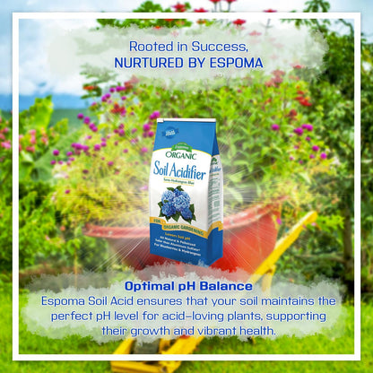 6 lbs 20 Espoma Organic Soil Acidifier Bag With My Garden Pool PH Test Strips ct. - Acidify, Enhance Hydrangea Color
