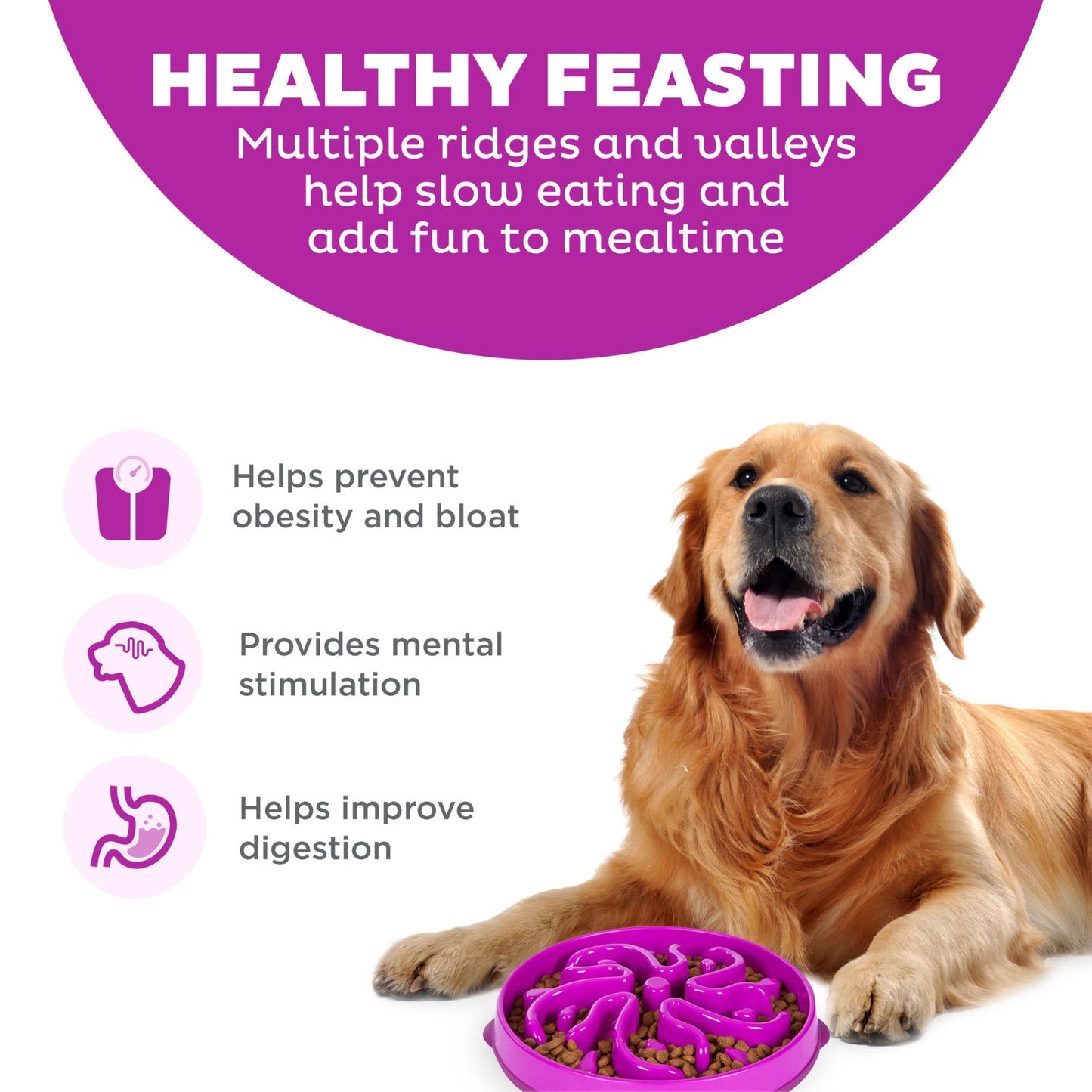 Outward Hound Fun Feeder Slo Bowl, Large Slow Feeder Dog Bowl, 4 Cups, Purple