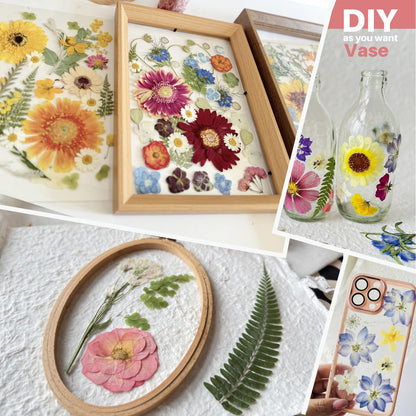 ZQmino A4 Large Dried Pressed Flowers for Resin Real Dry Natural Flowers Leaves for Resin Mold Cake Candle Making Phone Cases Scrapbooking DIY Art Crafts (Yellow+White)