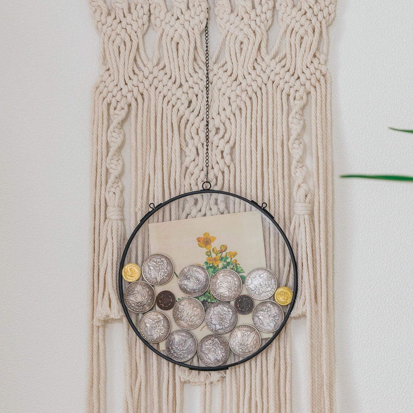 NCYP Deep Floating Glass 8 Inch Round Hanging Display Frame for Pressed Flowers, Thick Dried Flowers, Leaves, Botanical Art, Keepsakes, Black (Glass Frame Only)