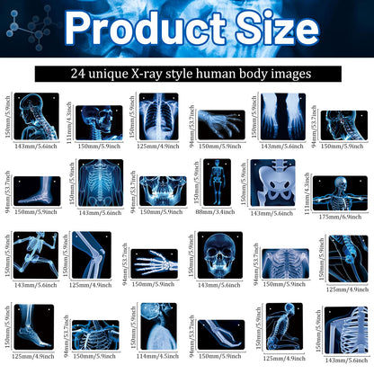4 Strings X-Ray Skeleton Banner Decorations, Pre-Strung Medical Radiology Anatomy Garland with 24 X-Ray Body Part Images for Doctor Nurse Graduation, Halloween Party, Clinic Classroom Science Décor