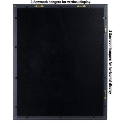 Caesar Home Shadow Box Display Frame with 2 Backgrounds and UV Protection, Multiple Sizes (16x20)