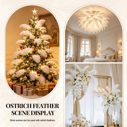 Natural White Ostrich Feathers Bulk 40 Pack, 10-12 in, 8-10 in (20 Pcs Each), for DIY Vase Craft Wedding Party Centerpieces Christmas Decoration