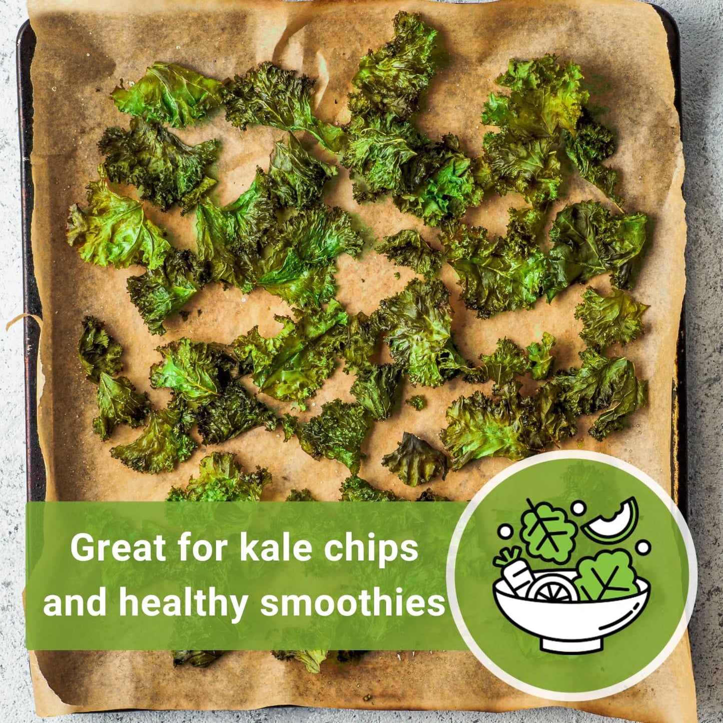 Packet (2) Sow Right Seeds - Dwarf Siberian Improved Kale Seed for Planting - Non-GMO Heirloom with Instructions