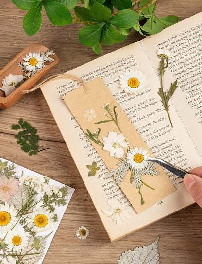 100pcs White and Light Yellow Dried Pressed Flowers Bulk, Natural Fall Pressed Dried Flowers with Tweezer for DIY Crafts Resin Mold Candles Cake Bridal Scrapbooking Supplies