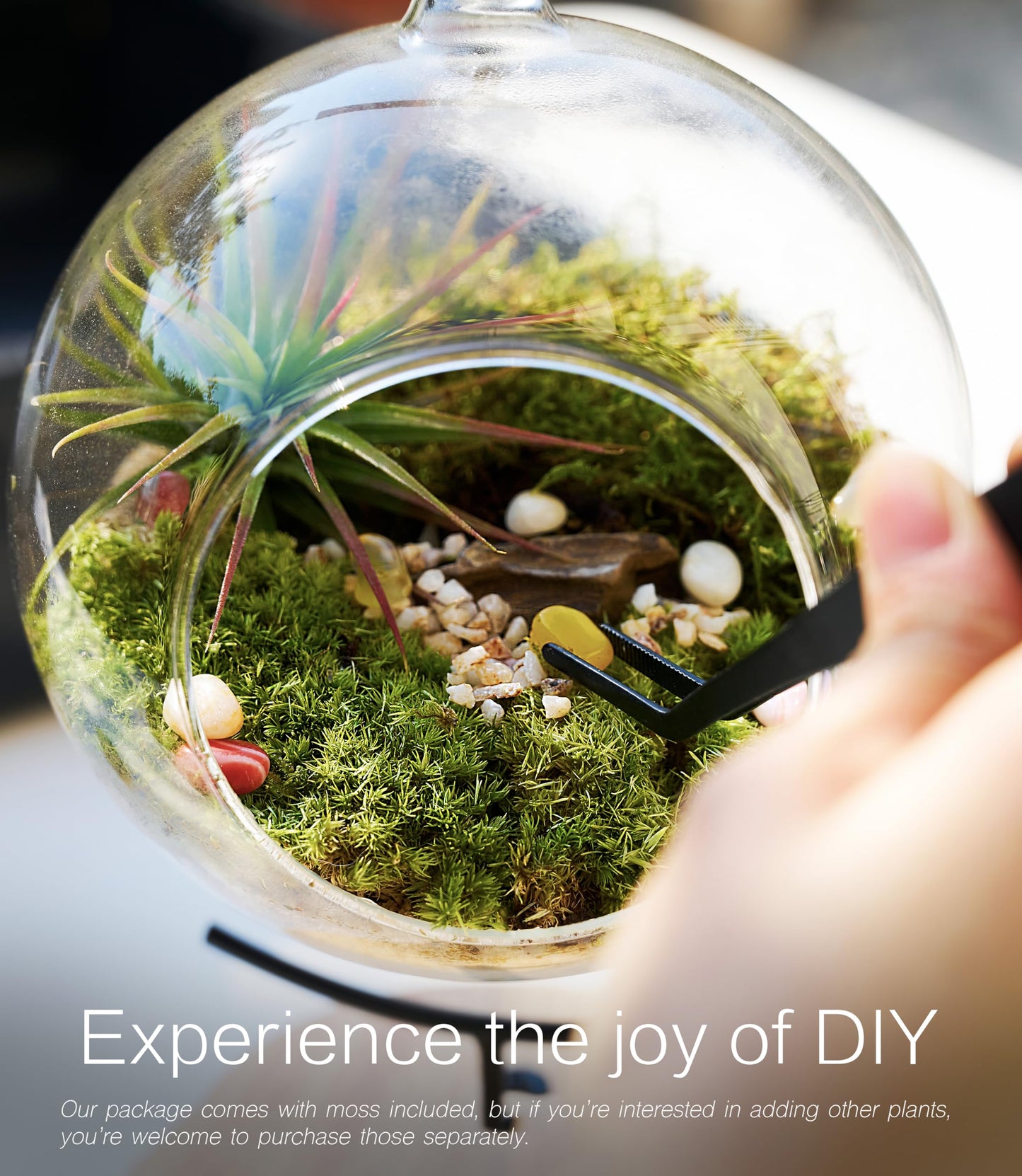 LUCKYRUNES DIY Terrarium Kit with Live Moss, 15-Piece Glass Globe Set with Wooden Stand, Tools, Soil, Stones & Spray Bottle, Indoor Mini Garden Gift for Plant Lovers, Home Desk Decor