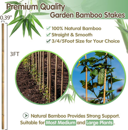 BOVITRO Bamboo Stakes - 3FT Natural Plant Supports for Tomatoes, Beans & Climbing Vegetables | 25 Pcs