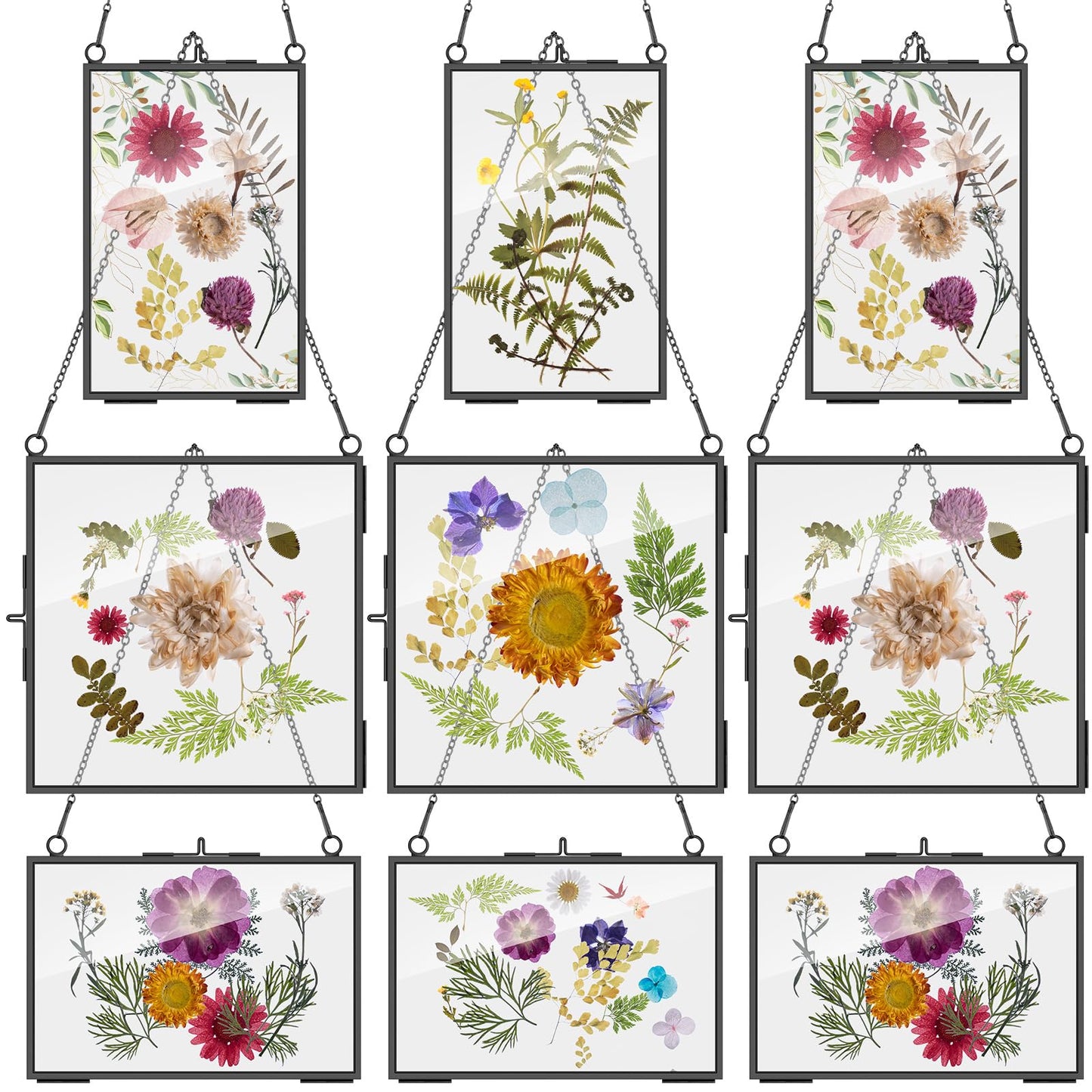 Geetery 9 Pcs Glass Frame for Pressed Flowers 6x4 4x6 6x6 in Black Hanging Picture Frames Metal Floating Double Glass Display Frame with Chain for Dried Flower Plant Specimen DIY Artwork Wall Decor