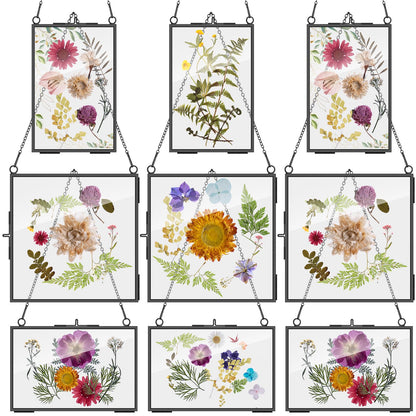 Geetery 9 Pcs Glass Frame for Pressed Flowers 6x4 4x6 6x6 in Black Hanging Picture Frames Metal Floating Double Glass Display Frame with Chain for Dried Flower Plant Specimen DIY Artwork Wall Decor