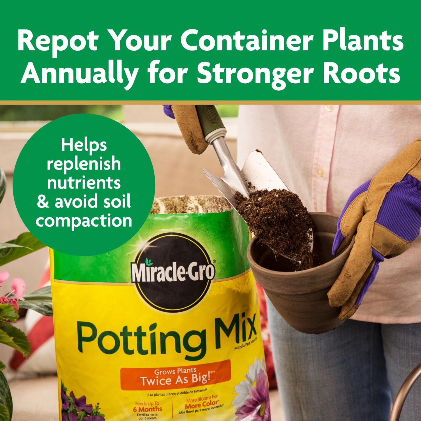 Miracle-Gro Potting Mix, For Container Plants, Flowers, Vegetables, Annuals, Perennials, Shrubs, Feeds for up to 6 Months, 16. qt., 2-Pack