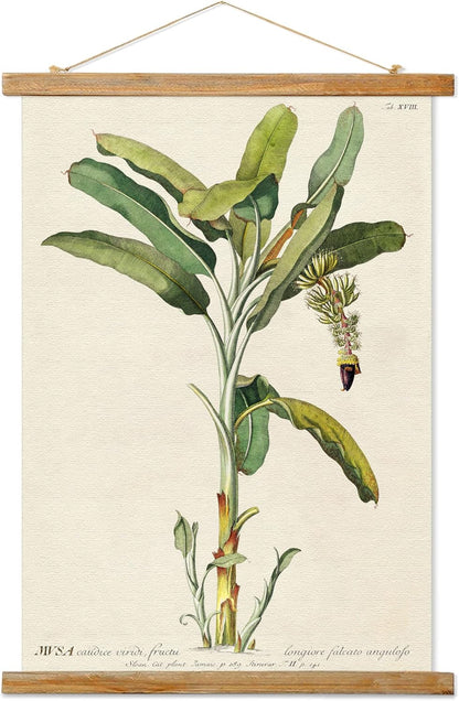 Vintage Banana Tree Poster Hanger Frame, Retro Style of Wall Art Prints, Printed on Linen with Natural Wooden Frames