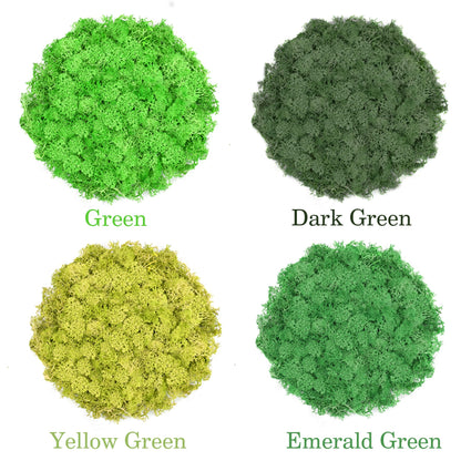 TCYPUHL Preserved Reindeer Moss Set, 14 oz, Green, Dark Green, Yellow Green and Emerald Green Craft Moss for Potted Plants, Fairy Gardens, DIY Wall Art, Floral Arrangements and Holiday Table Decor