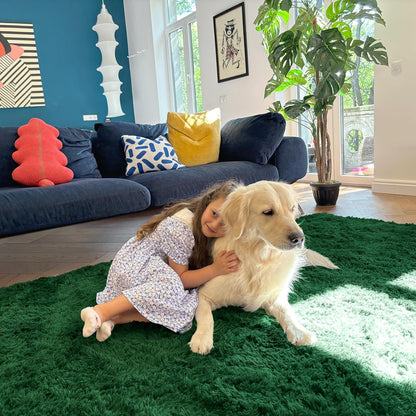 OLANLY Large Area Rug - Soft Fluffy Shaggy Carpet for Living Room & Bedroom | 8x10 Dark Green