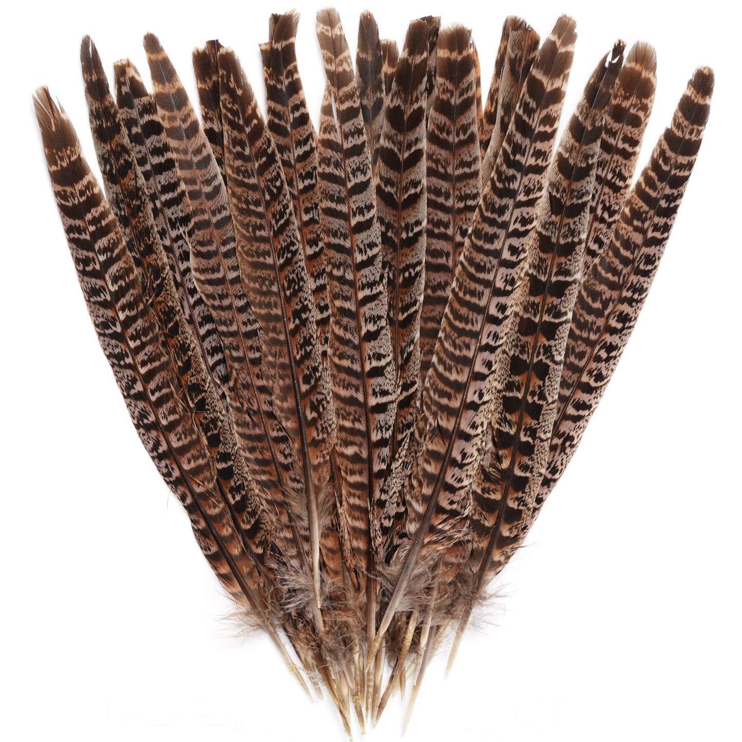 obmwang 27Pcs 25-30cm Natural Pheasant Feathers for DIY Craft Wedding Home Party Decorations