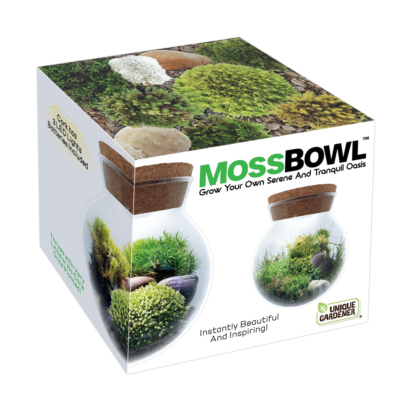 Create Your Serene Moss Sanctuary with The Unique Gardener Moss Bowl Terrarium Kit with LED Light - Complete Terrarium Supplies, Indoor Plants for Stress Relief & Air Purification!