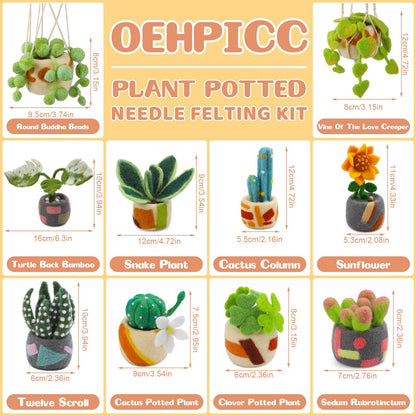 OEHPICC Needle Felting Kit - 10 Pack Plant Pot Needle Felting Starter Kit, Felting Kits with Basic Felt Tools, Clear Instructions for Beginner Adult Craft Kit, DIY Craft Plant Decor Present