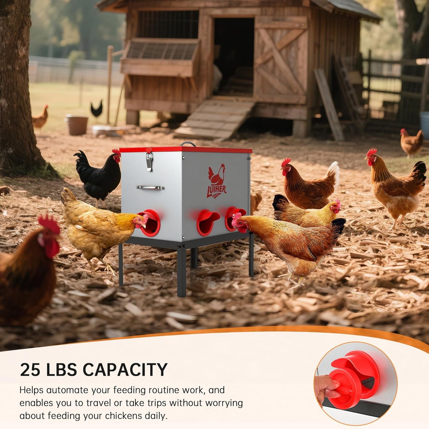 LUIHER 25LB 6 chicken food dispenser no waste chincken feeder Ports Large Capacity Galvanized Metal Poultry Feeder