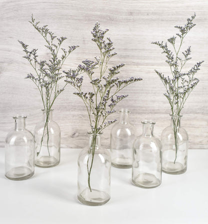 Serene Spaces Living (6 Pack) Bud Vases for Apothecary Jars, Decorative Glass Bottles, Wedding Reception Centerpieces, Mini Flower Vases, Small Medicine Bottles for Home Decor